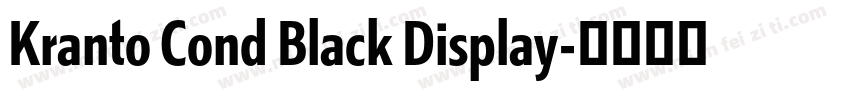 Kranto Cond Black Display字体转换